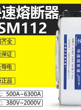 快熔RSM112-380V500V/1000A1250A1500A2000A2250A2500A快速熔断器