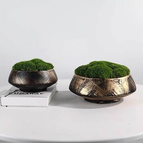 新中式永生青苔植物盆栽微景观样板房客厅书房茶几售楼处桌面摆件