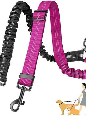 16ft Long Dual Dog Leash Attachment - Double Leashes for Tra