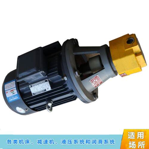带阀摆线齿轮油泵电机组BB-B80(Y)JZ100JZBB-B125JZ稀油站供油泵