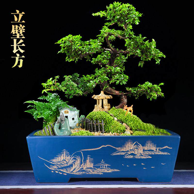 宜兴紫砂长方形花盆透气养根家用简约有孔造景大号老桩文竹盆景盆