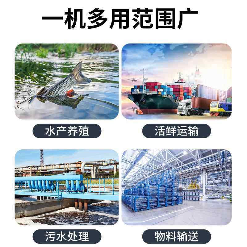 正林两叶三叶罗茨鼓风机鱼塘增氧泵运鲜车养殖污水处理高压曝气机,宠物/宠物食品及用品,冲氧泵,淘宝优惠券,粉丝福利购,淘宝优惠卷