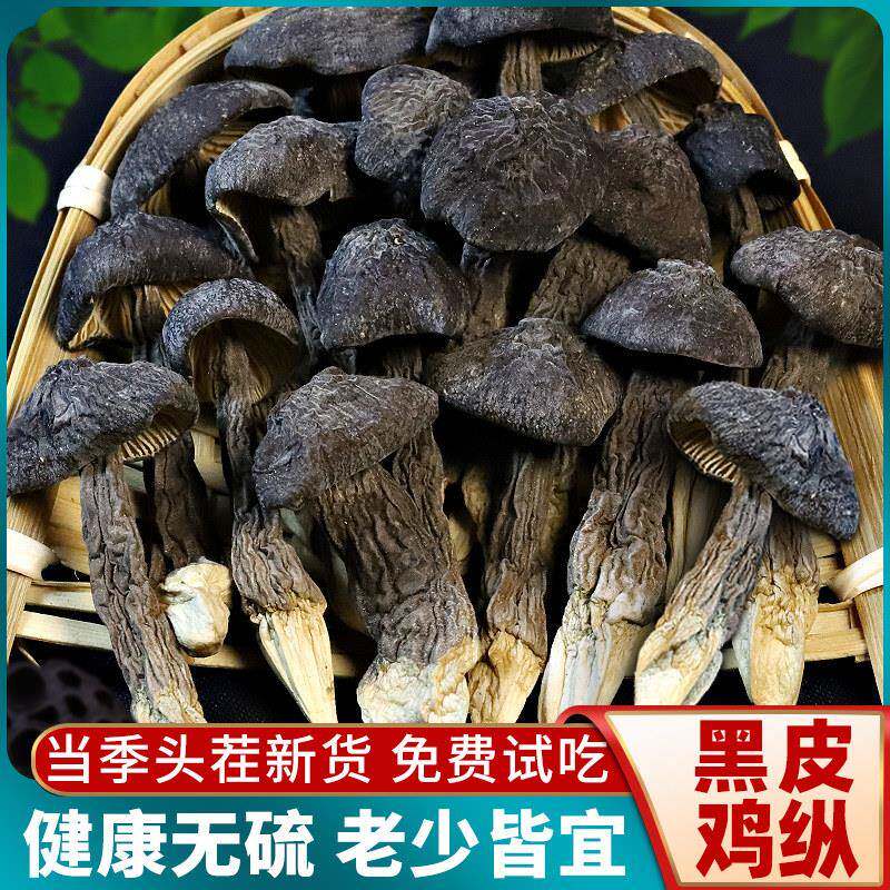 正宗云南特产黑皮鸡纵菇菌干 干货500g蘑山珍煲汤旗舰店种非野生