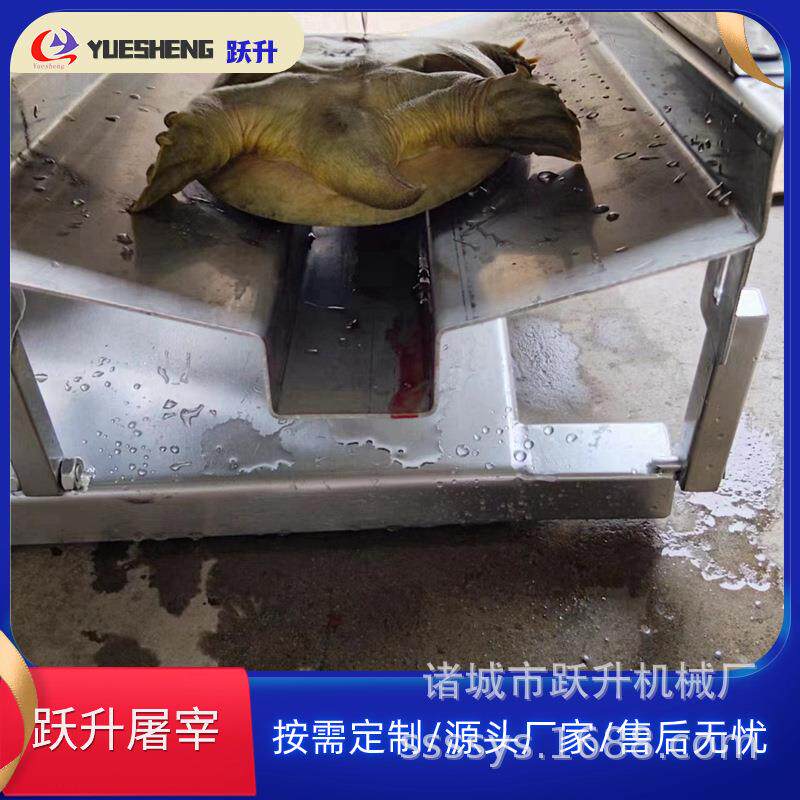小型甲鱼开膛机器甲鱼去内脏屠宰设备新款自动甲鱼破肚机器603