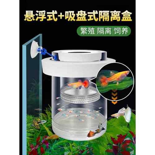 德国孵化盒孔雀鱼繁殖隔离盒凤尾斑马母鱼小