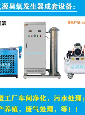 迈浪300g500g克臭氧发生器泳池水处理水产养殖食品厂制药车间净化