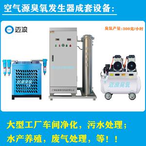迈浪300g500g克臭氧发生器泳池水处理水产养殖食品厂制药车间净化
