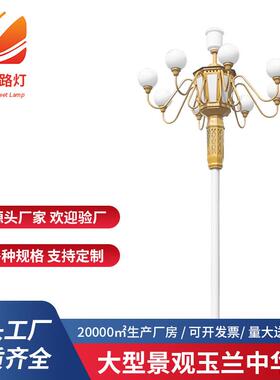 市政道路户外大型景观灯景区公园广场8米中华灯LED异性灯路灯