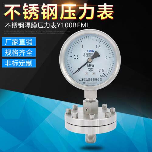 隔膜压力表Y1003040-25MPaG120Cr18Ni9Ti1.6级YTF-100H/ML高压
