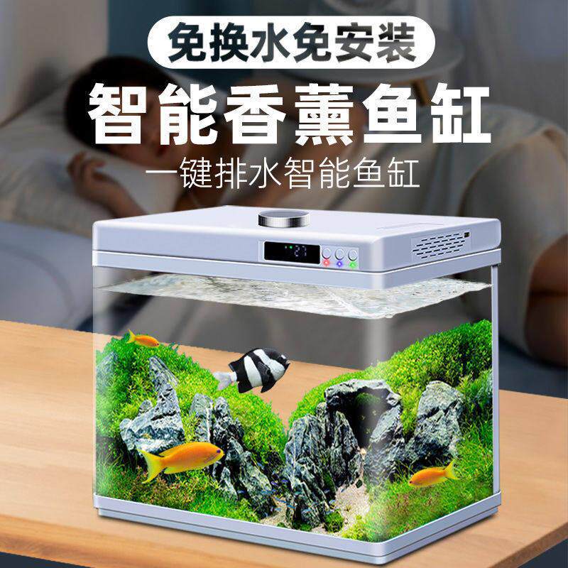 网红小鱼缸小型客厅2024新款免换水生态鱼缸网红智能水族箱玻