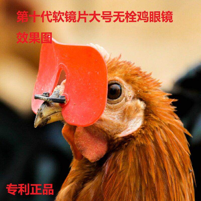 鸡眼镜鸡眼罩笼养蛋鸡山鸡防啄毛啄肛啄蛋无栓软镜片卡式防挂网
