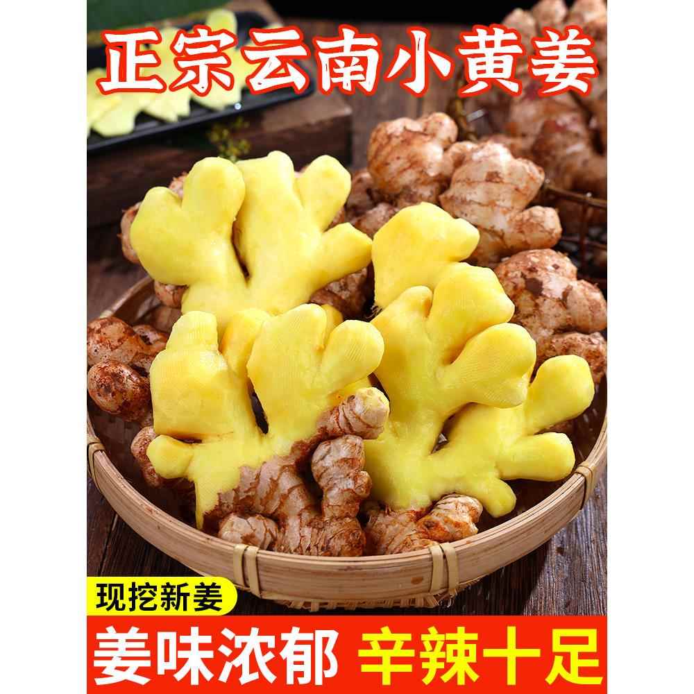 正宗云南新鲜小黄姜生姜干老姜嫩姜土姜子姜现挖高山沙姜5斤包邮