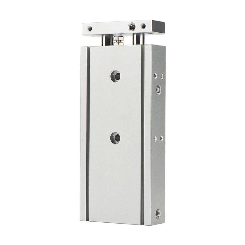 TR6/10X15X20X30X40X50X60X70X75X80X90X100S+CMSG-2双轴双杆气缸