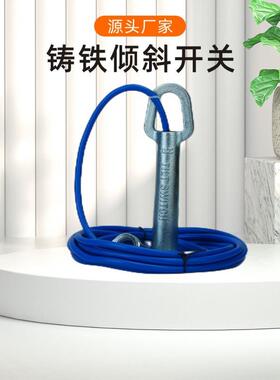倾斜开关ST-20水银煤流开关SL2-8铸铁不锈钢堵煤煤流防爆20-95M