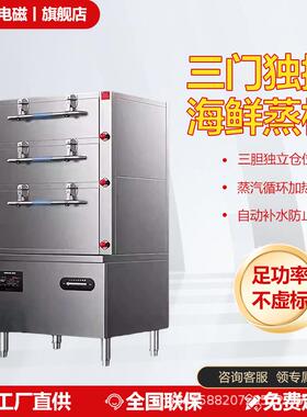 商用控温不锈钢海鲜蒸柜食堂炖汤柜蒸菜机三门电蒸炉蒸饭柜蒸鱼