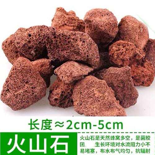 鱼池天然过滤材料火山石水族滤材红陶瓷环玻璃环调节PH珊瑚砂过滤