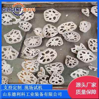 冬枣脆片真空膨化机全自动非油炸枣片真空膨化机莲藕真空膨化机