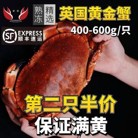 熟冻面包蟹400-600g只母蟹大螃蟹特大膏蟹，海鲜水产鲜活生鲜海蟹