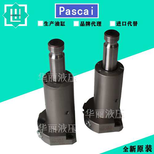 PASCAL 帕斯卡液压缸 CTV10B-R支撑缸 油缸CSY03-L CSU CST CSS12