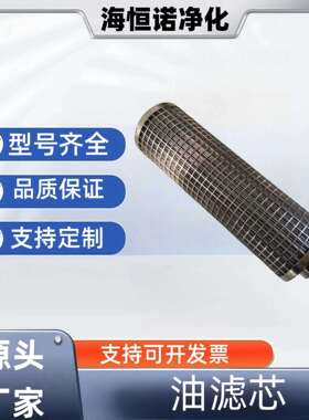 不锈钢溶体滤芯SF30/30液压油站过滤器滤芯1056369-30空气滤网