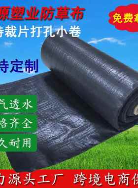 防草布黑色 果园温室大棚防草布 园艺地布 抑草布 除草布