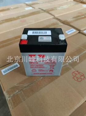 汤浅蓄电池NPW45-12规格12V45W储能电池适用应急照明