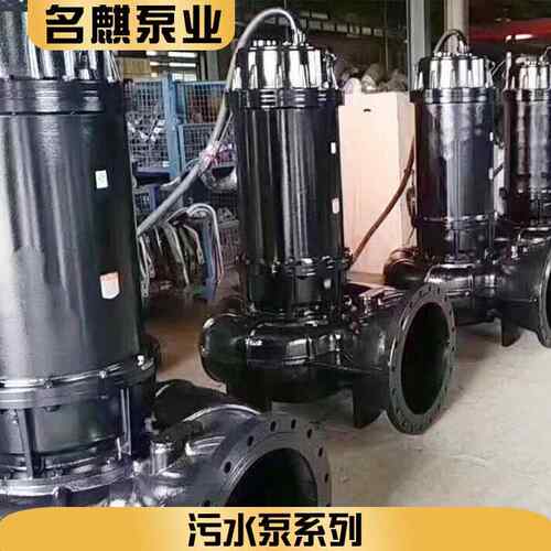 污水系列无堵塞潜水排污泵工程工养殖化工家污用农泵CGT用地水泵