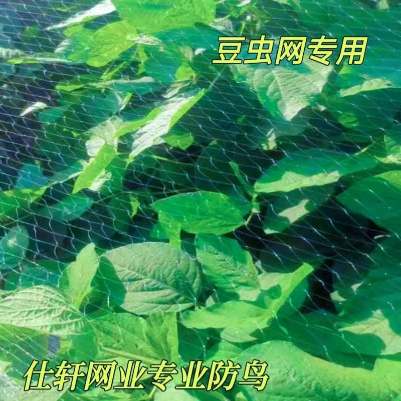 农用露天豆虫防鸟网豆丹专用防护网葡萄防鸟水稻试验田专用防护网