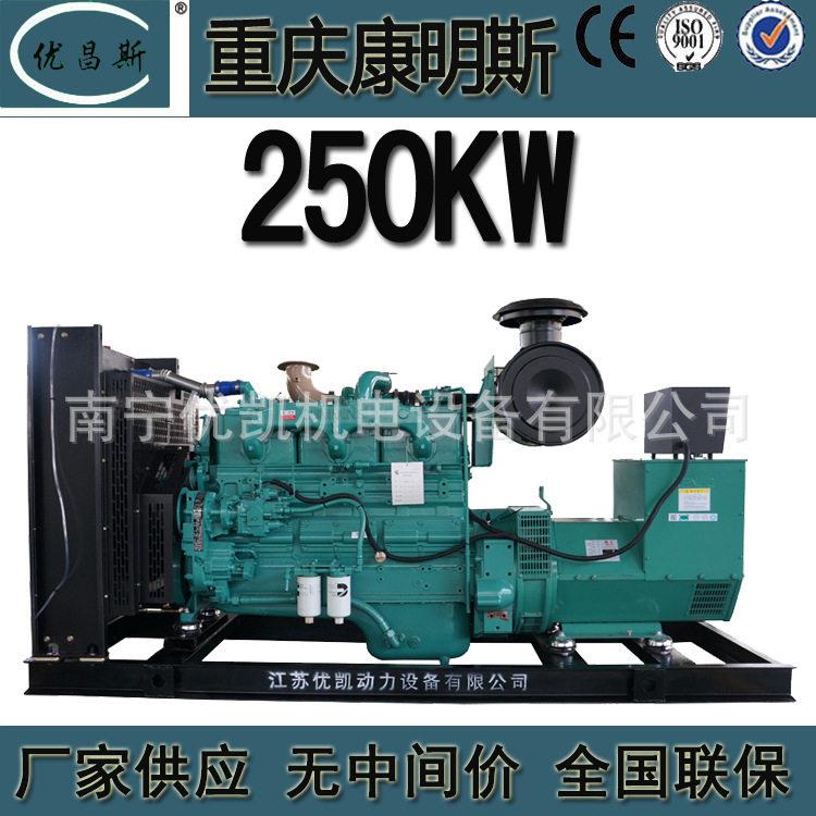 广西厂家重庆康明斯250KW柴油发电机组电调无刷发电机NTA855-G1A