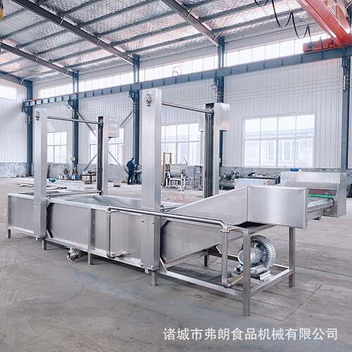 水果清洗打蜡风干分级设备果蔬高压喷淋清洗机厂家荔枝清洗机