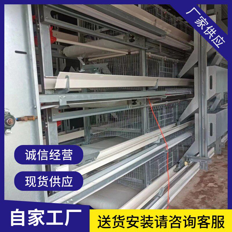 立式H型小层叠蛋鸡笼养殖场农场用热镀锌自动养殖设备