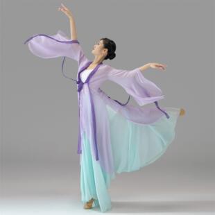 古典舞蹈服女飘逸长版 女 身韵纱衣上衣汉唐古国风民族舞演出服新款