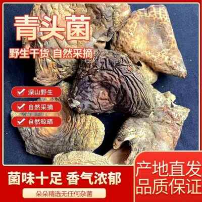 云南野生青头菌干货梨菇自然采摘精选云南特产新鲜菇绿豆菌野生菌