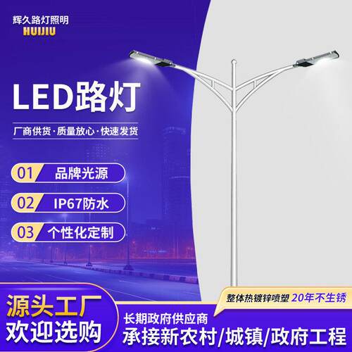 led灯市电双臂杆灯投光灯路灯防水新农村户外照明带超亮室外