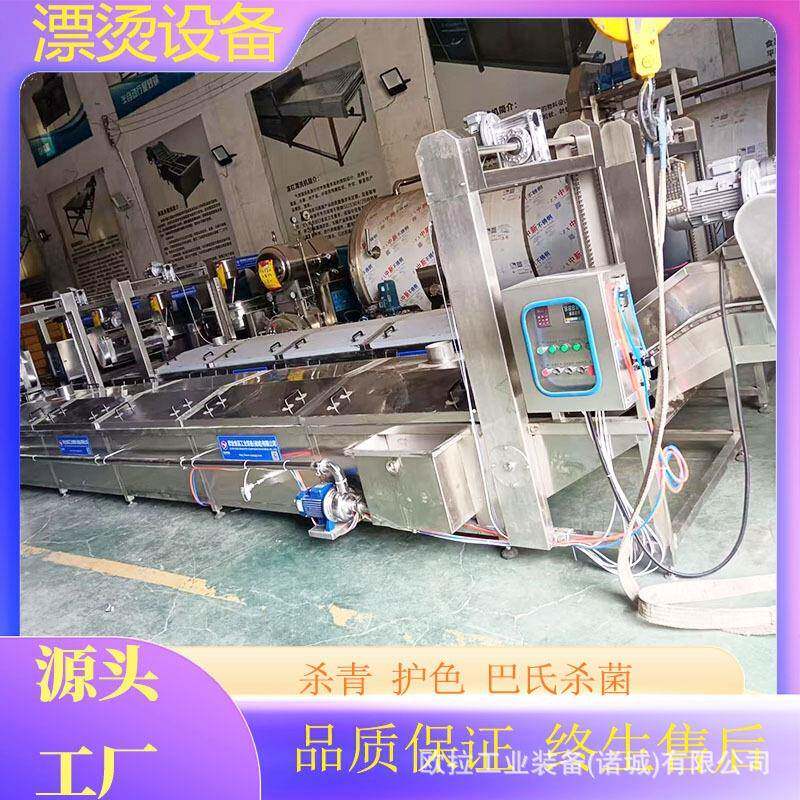全自动冬瓜条杀青护色机 连续式控温变频灭菌机 小龙虾漂烫蒸煮线