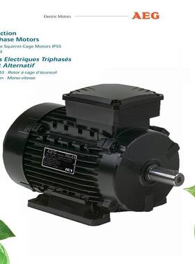 德国AEG电机马达AMHE 90L CA2