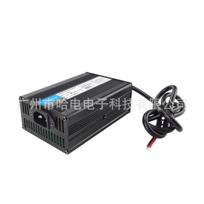 48V30AH48V5A电动轮椅铅酸电池充电器