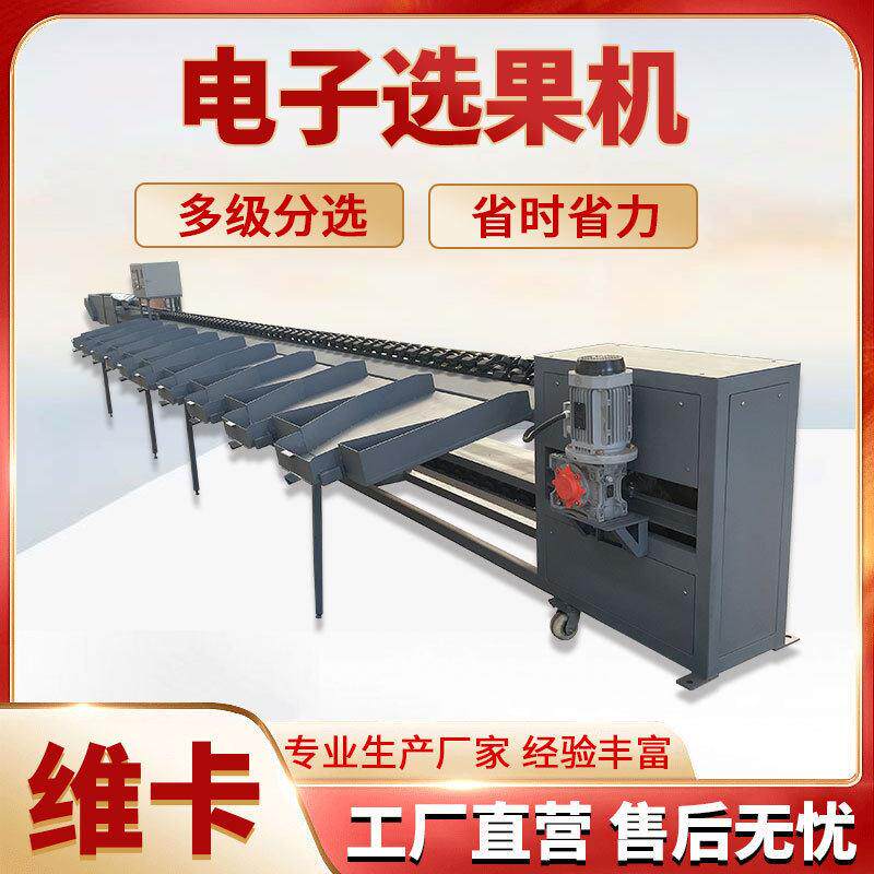 贝贝南瓜重量分选机柠檬分级机精度效率快山竹称重分拣机