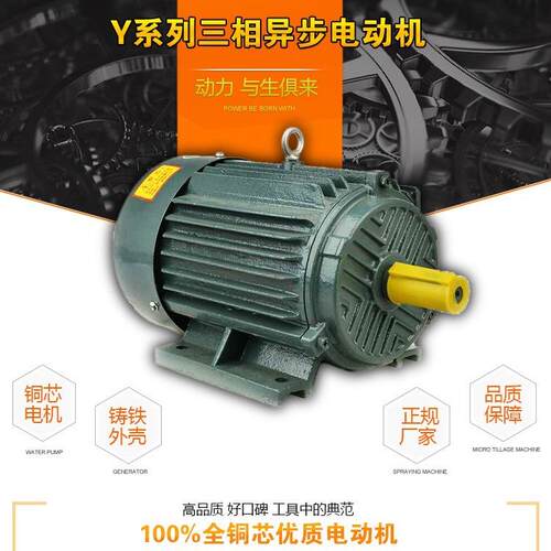 YE2YE3Y2Y三相电机三相电动机7.5W--45W/2极/4极/6极