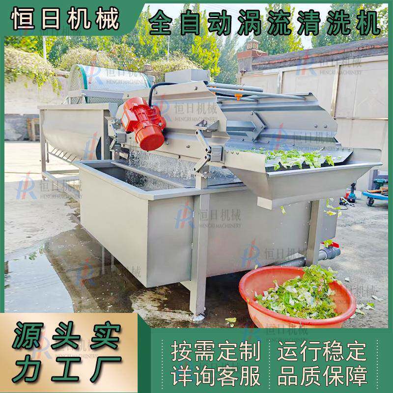 多功能蔬菜涡流清洗机蘑菇木耳翻浪式清洗机蒜苔西芹段涡流冲洗机