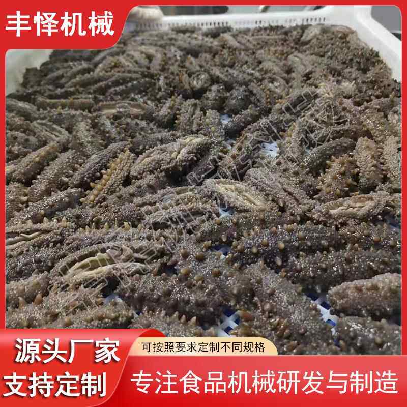 全自动海参蒸煮锅 商用不锈钢低温蒸煮设备 电加热真空负压锅