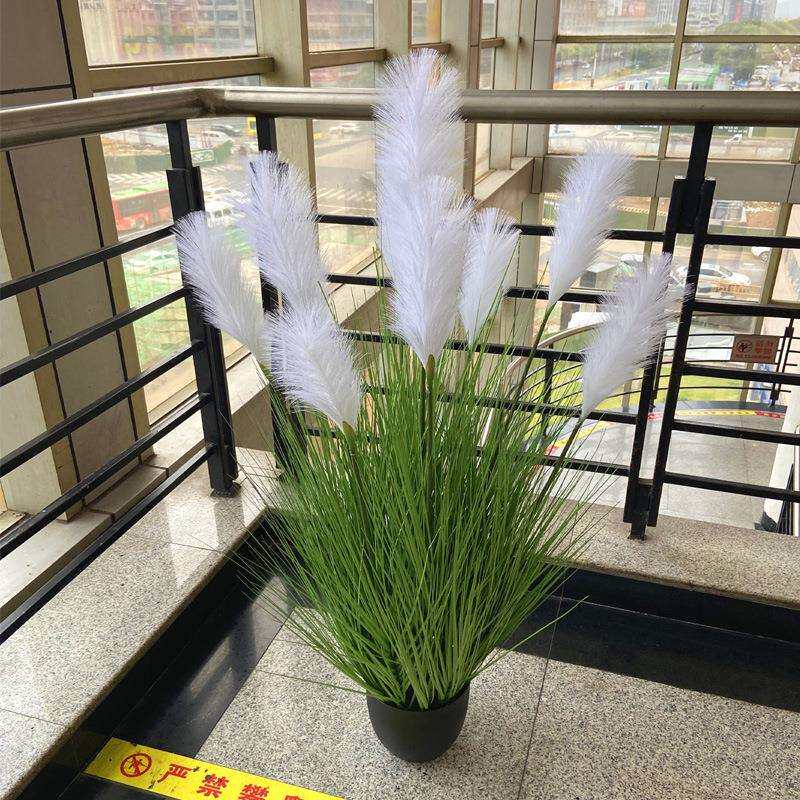 轻奢仿真芦苇盆栽大芦苇9头芦苇洋葱草婚庆厨窗拍摄道具装饰摆件