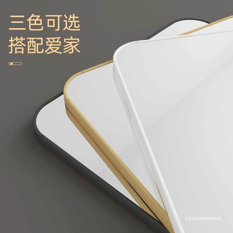 铝合金镜子身穿衣镜贴36578墙粘壁挂门后试框衣镜墙全上免打孔自