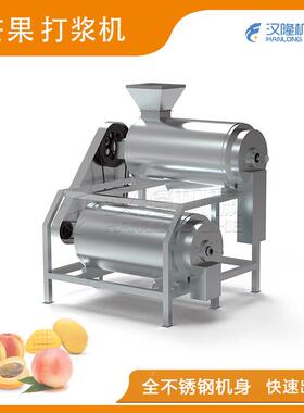 厂直销MDJ2系列不锈钢芒果红枣番茄出浆快双道打浆机去核机江