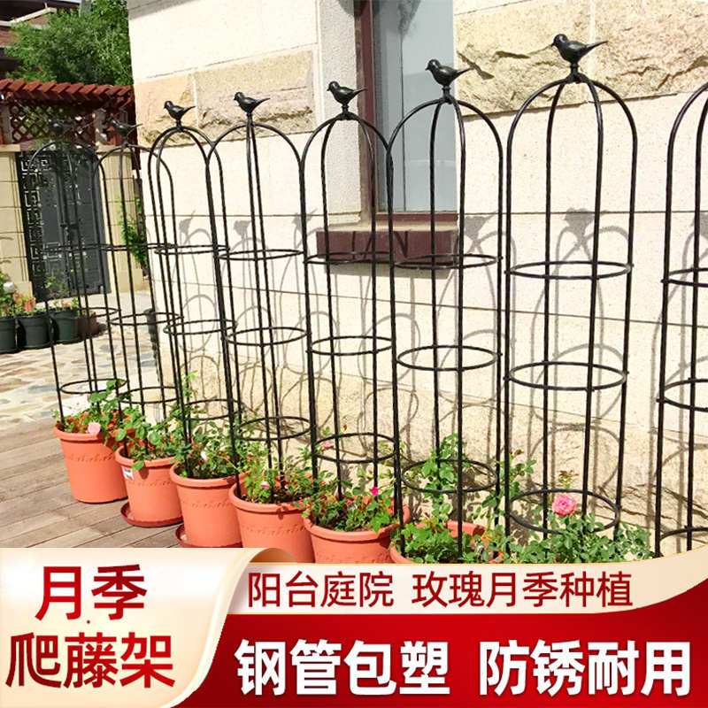 支架月季铁线莲铁支撑杆爬攀爬花架玫瑰藤架花盆藤架新款玫瑰花植