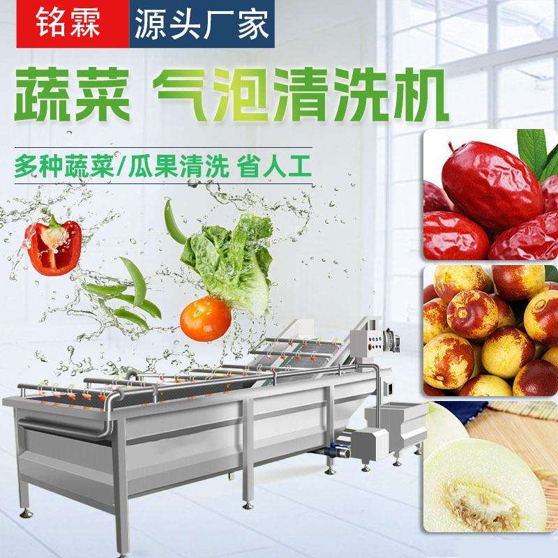 大枣脆枣清洗机全自动甜瓜清洗机设备不锈钢山楂净菜流水线