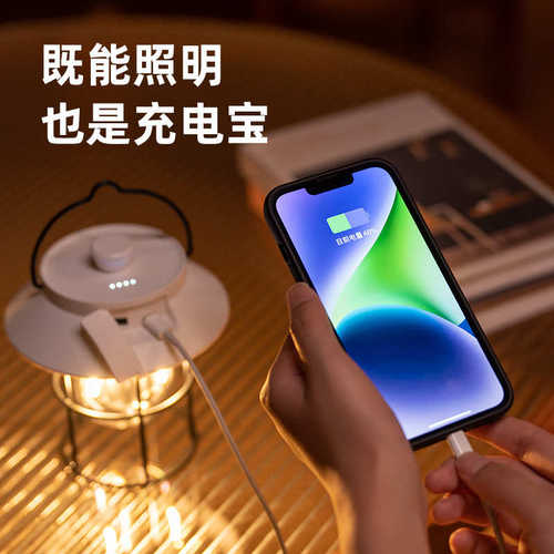 新品户外露营灯 野营大容量便携挂立无极调光氛围夜灯