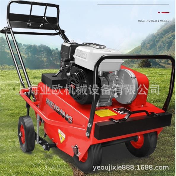 WB516AH草坪打孔机 拖拉式草坪增氧机 园林草坪养护机