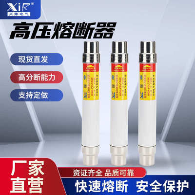 xrnt 高压10互感器12kv-熔pt限流管5a10a16a25a熔断器熔断器保险-