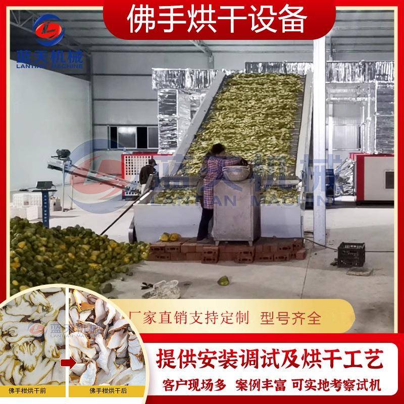 佛手瓜佛手果干片烘干机大型佛手洪干机网带式佛手柑片干燥设备